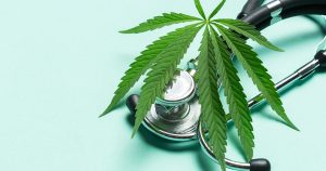 Exciting Medical Marijuana Updates at The Link: What Patients in Port Angeles and Longview Need to Know