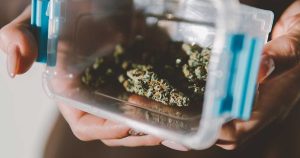 Tips to Keep Your Cannabis Products Fresh