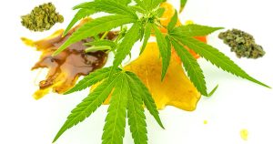 Dabbing 101: A Beginner’s Guide to Concentrates